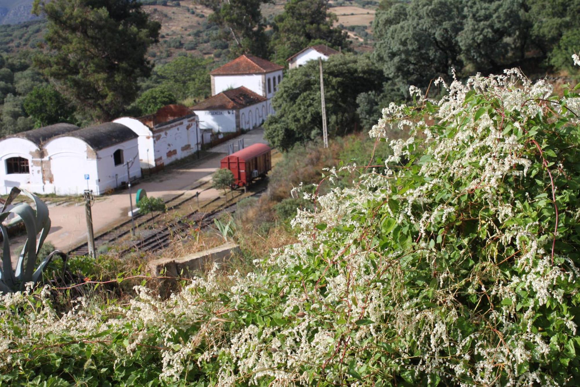 Casa Rural Camino De Hierro I Y II La Fregeneda 外观 照片